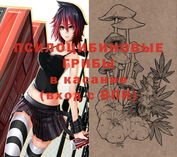 мдпв Калининец