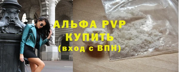 гидра Инта