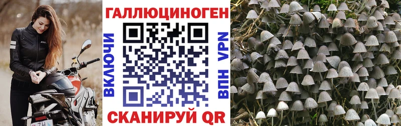 МЕГА ONION  маркетплейс клад  Галлюциногенные грибы мицелий  Сорочинск 