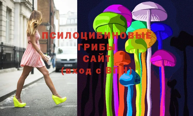 наркота  Сорочинск  гидра ссылка  Псилоцибиновые грибы MAGIC MUSHROOMS 