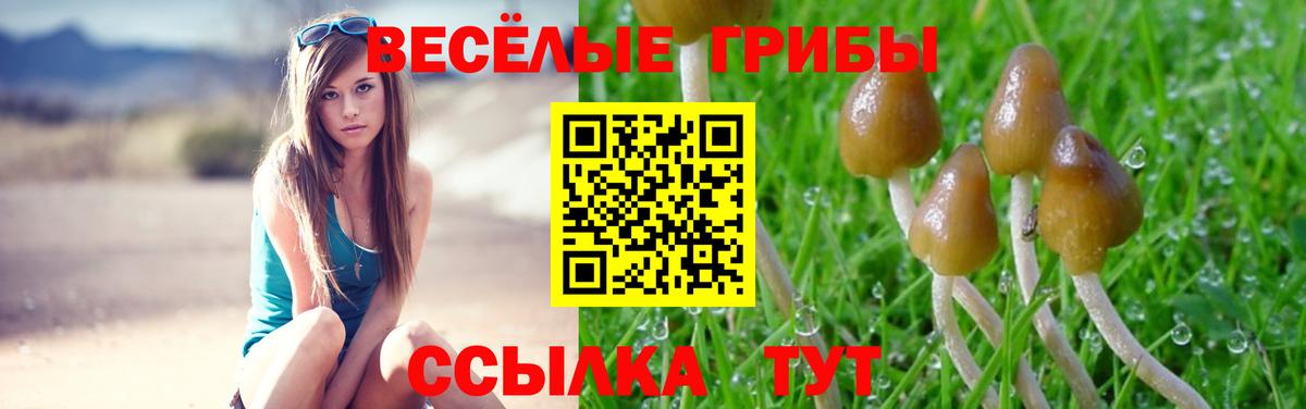 Псилоцибиновые грибы мухоморы Сорочинск