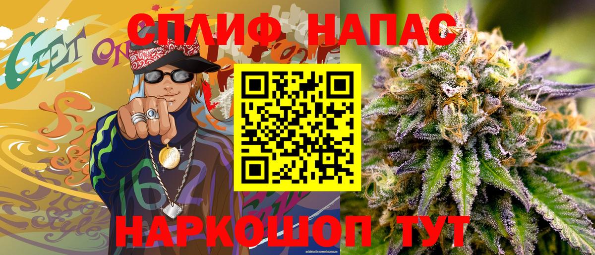 Конопля план Сорочинск